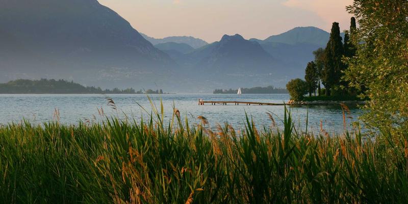 从飞飞8899复古服饰到家居空间：探寻复古风格如何重塑当代审美