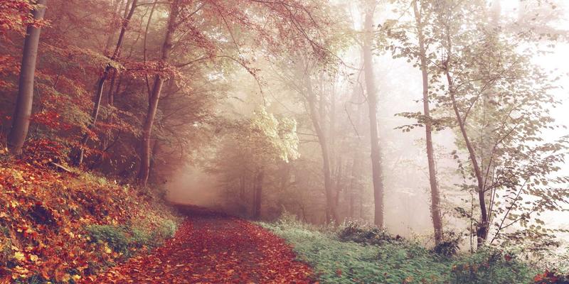 从飞飞8899看时尚博主的个人IP打造：如何用复古风格与视觉统一征服女装平台