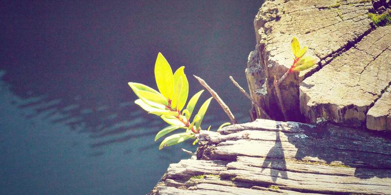 如何像飞飞8899一样打造个人品牌视觉识别系统：复古服饰时尚女装的制胜法则