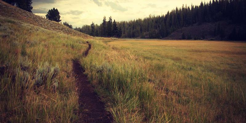 飞飞889916：当复古风格邂逅时尚女装，定义新式优雅美学