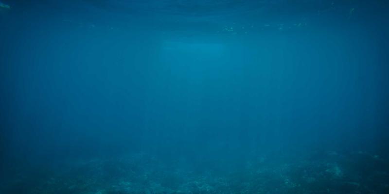 飞飞889988：在复古风格女装平台，解锁穿越时光的服饰搭配艺术