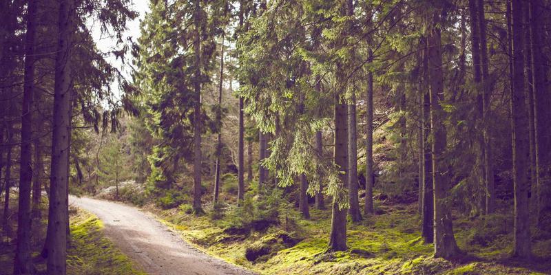 飞飞889996：用复古风格解锁服饰搭配的时光密码