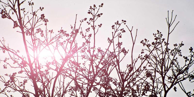 飞飞8899复古风格衣橱胶囊化：用10件经典单品打造30天不重样穿搭灵感