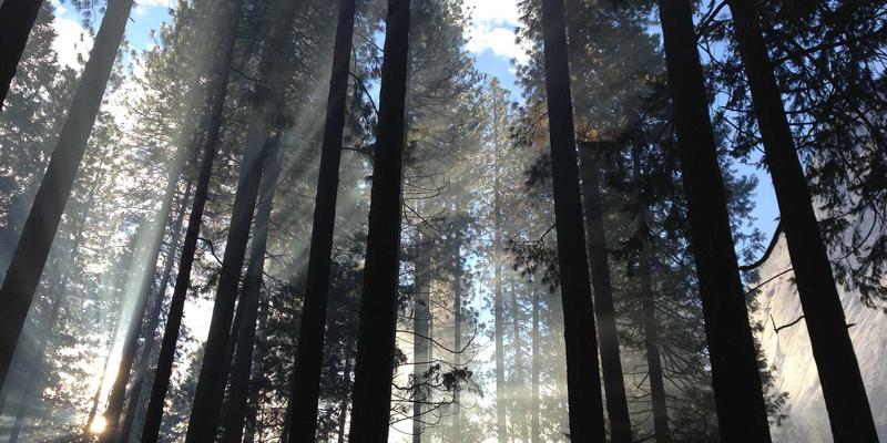 飞飞8899是什么?揭秘这个融合复古风潮的时尚女装平台