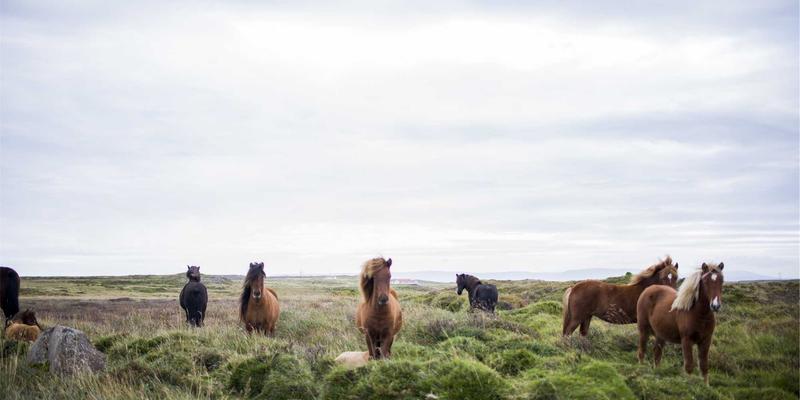 飞飞8899的复古穿搭内容日历规划：如何稳定产出高质量服饰搭配灵感