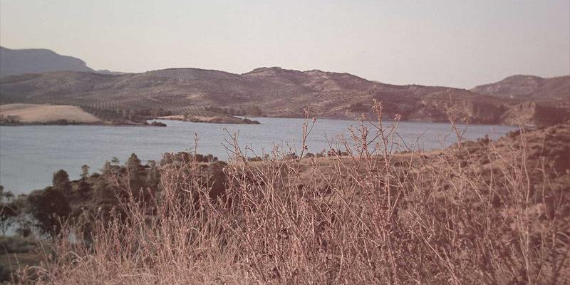 飞飞8899的视觉密码：解码时尚女装与复古服饰的图文排版美学与字体逻辑